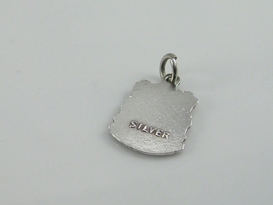 Vintage Silver Wells Travel Shield Charm